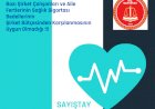 Sayıştay: Şirket Çalışanları ve Aile Fertlerinin Sağlık Sigortası Bedellerinin Şirket Bütçesinden Ödenmesi Uygun Değildir