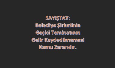 Belediye Şirketinin Teminatının Gelir Kaydedilmemesi Kamu Zararıdır.