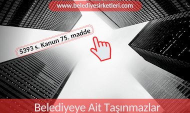Belediyeye Ait Taşınmazlar Belediye Şirketine Tahsis Edilebilir mi?