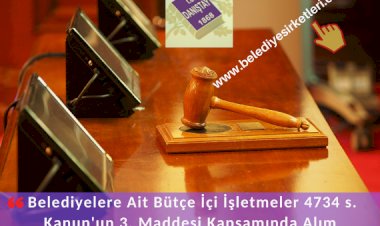 DANIŞTAY: Belediyelere Ait Bütçe İçi İşletmeler 4734 s. Kanun'un 3. Maddesinin Kapsamında Alım Yapabilir