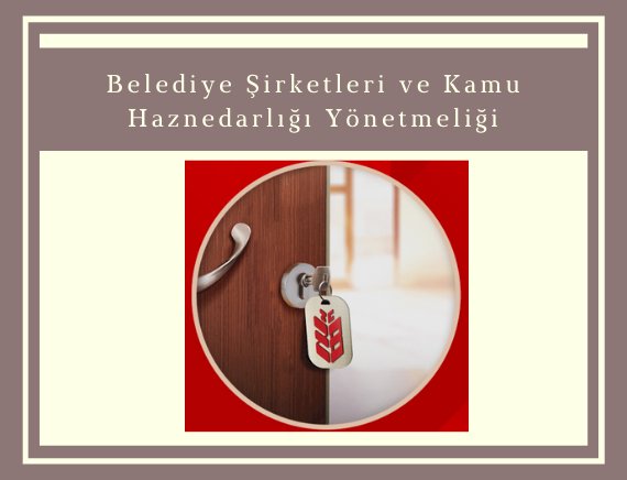Belediye Şirketleri Kamu Haznedarlığı Yönetmeliğine Tabi midir?