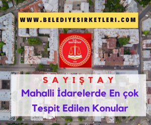Sayıştay: MAHALLİ İDARELERDE EN ÇOK TESPİT EDİLEN KONULAR
